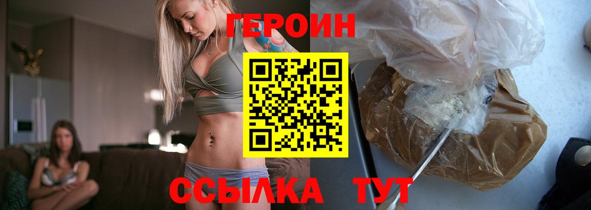 ГЕРОИН хмурый Бердск