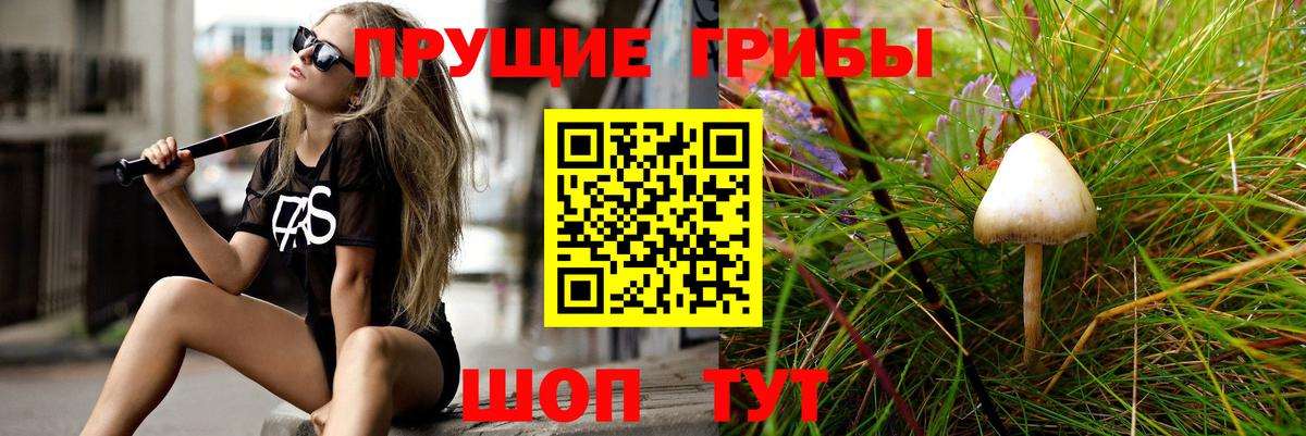 Галлюциногенные грибы MAGIC MUSHROOMS Бердск